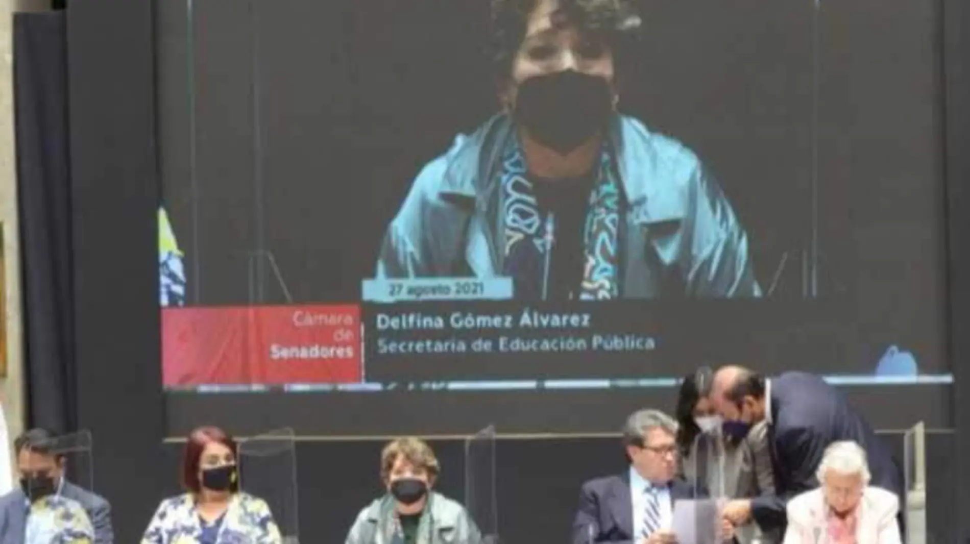 Delfina Gomez durante la plenaria de Morena en el Senado